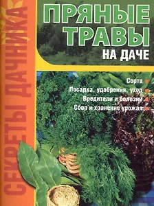 Пряные травы на даче