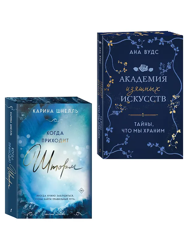 Книга Комплект из 2-х книг (Тайны, что мы храним + Когда приходит шторм) (Карина Шнелль, Ана Вудс) — 4