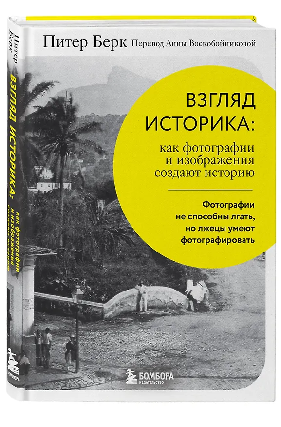 Книга Взгляд историка: как фотографии и изображения создают историю (Питер Берк) — 4