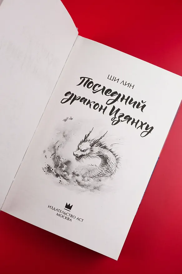 Книга Последний дракон Цзянху (Ши Лин) — 11