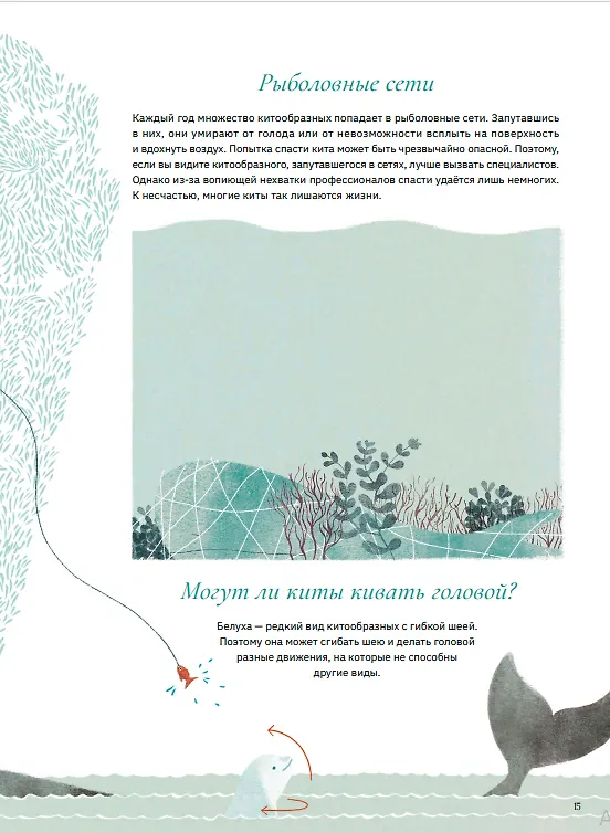 Книга Киты и мы (Индия Дежардан, Натали Дион) — 5