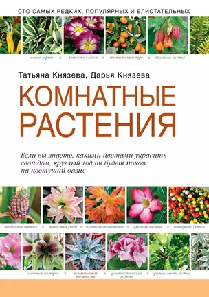 Комнатные растения — 2407835 — 1