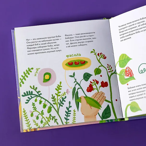 Книга Я знаю, что я ем. Крупы (Мария Кардакова) — 13