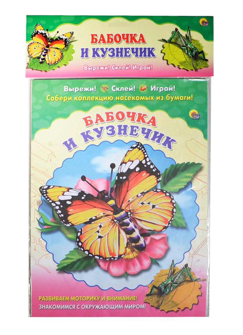 

Бабочка. Кузнечик