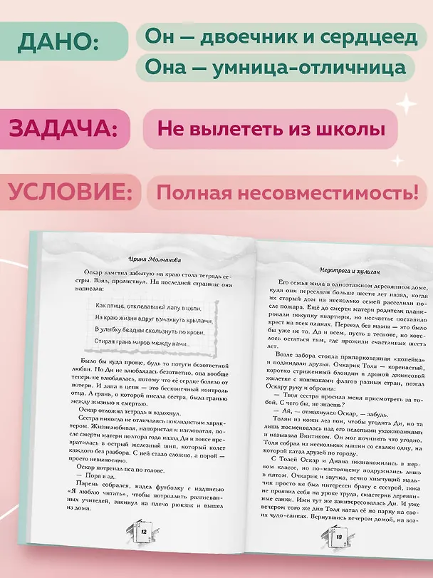 Книга Недотрога и хулиган (Ирина Молчанова) — 7