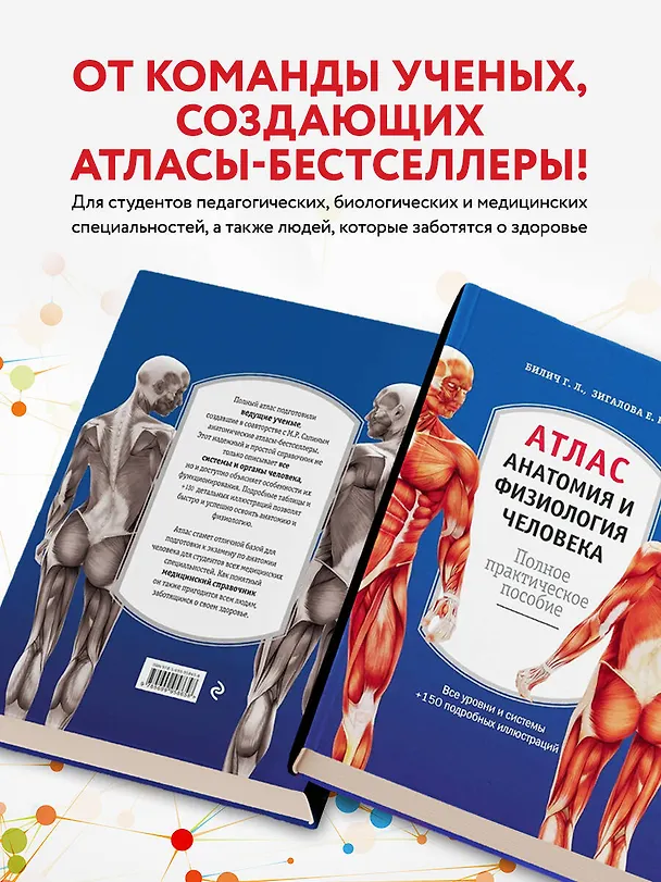 Книга Атлас. Анатомия и физиология человека: полное практическое пособие. 2-е издание, дополненное (Елена Зигалова, Габриэль Билич) — 7
