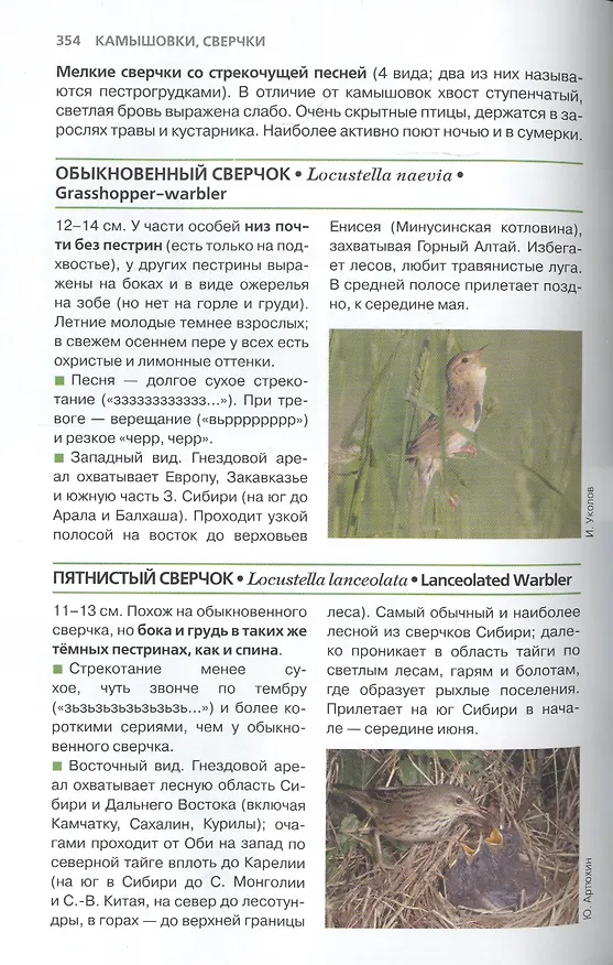 Книга Птицы России. Фотоопределитель (Константин Михайлов) — 2