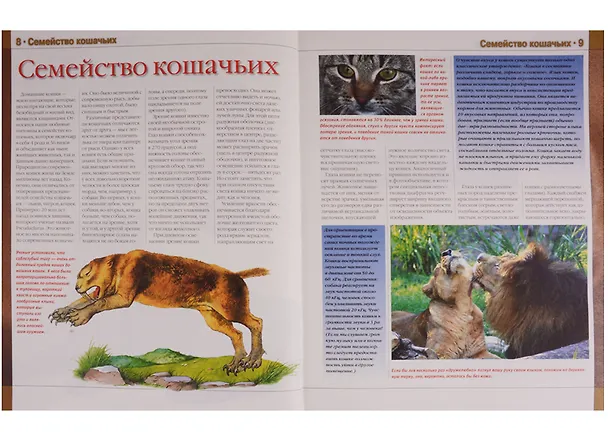 Книга Кошки Новая иллюстрированная энциклопедия (илл. Волынца) Волкова (В. Волкова) — 3