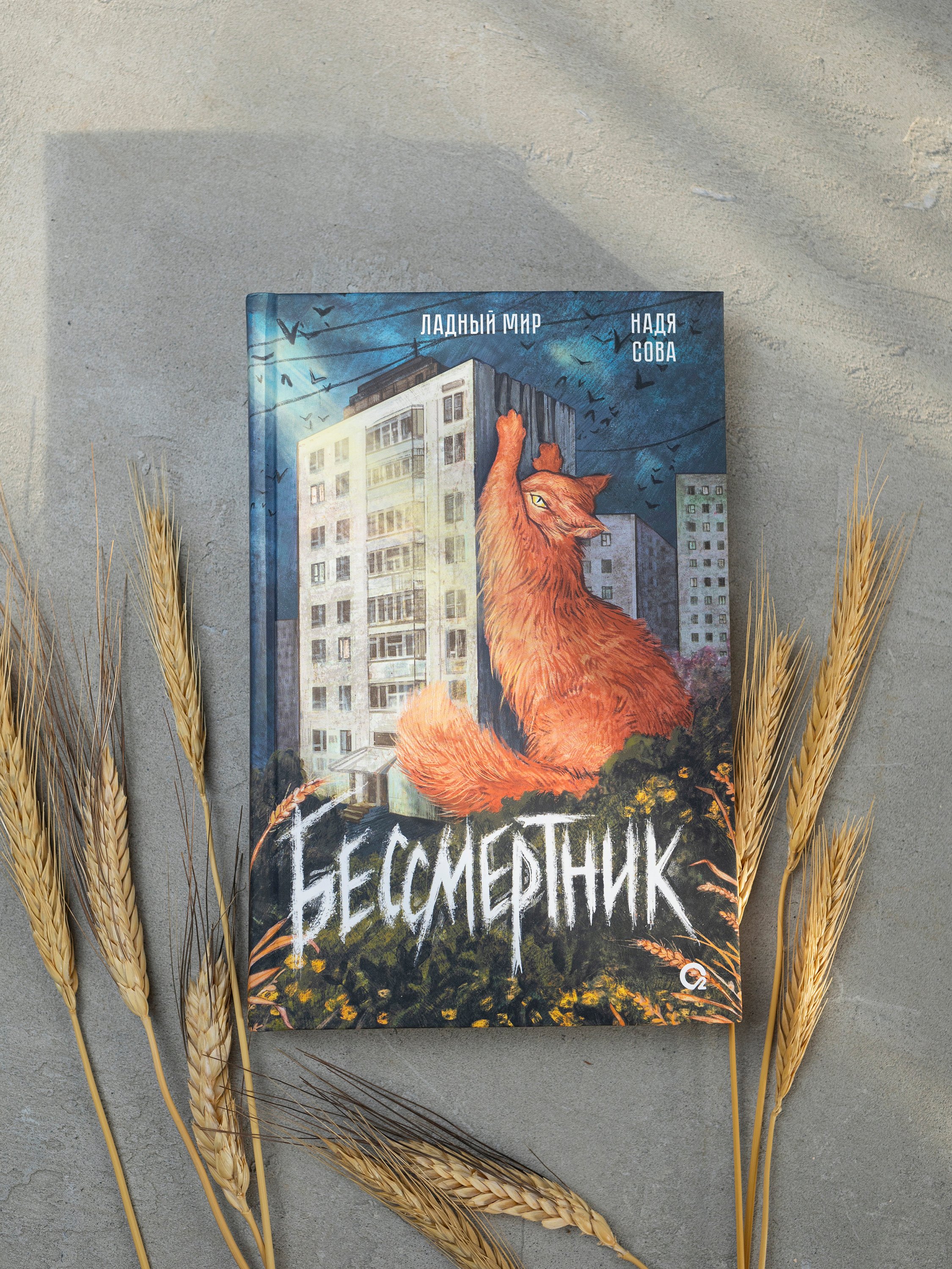 Изображение бумажной книги