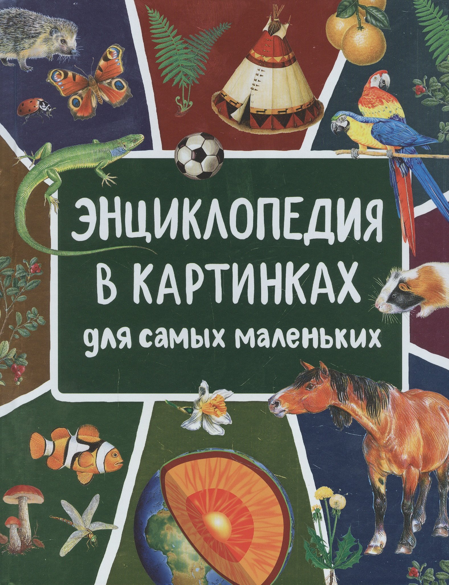 

Энциклопедия в картинках для самых маленьких