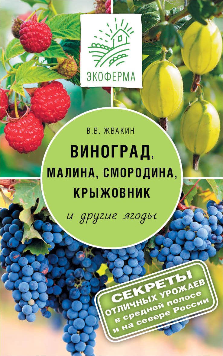 

Виноград, малина, смородина, крыжовниик и другие ягоды