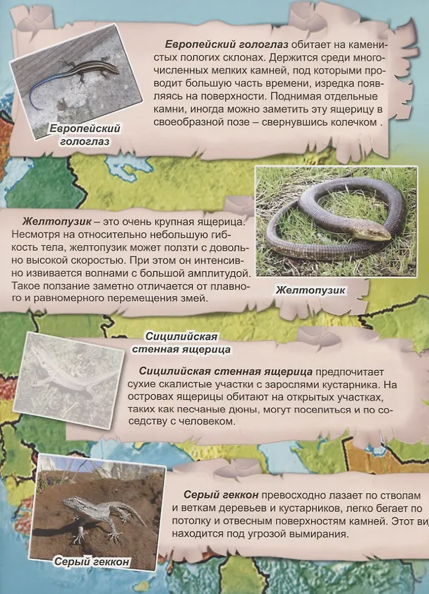 Книга Рептилии и рыбы (Дарья Морозова) — 2