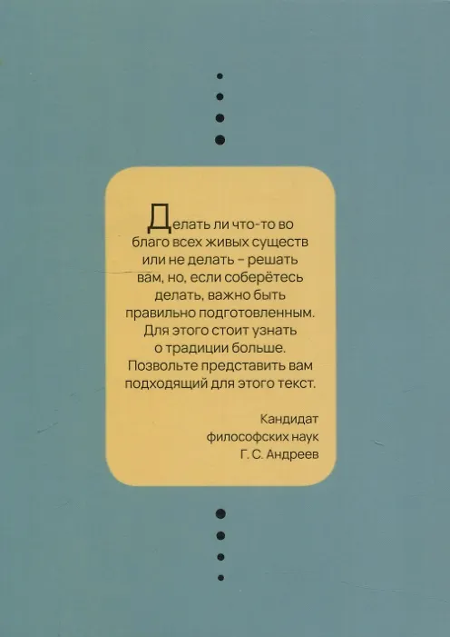 Книга Очерки об истории и философии йоги (Дмитрий Беляев) — 2