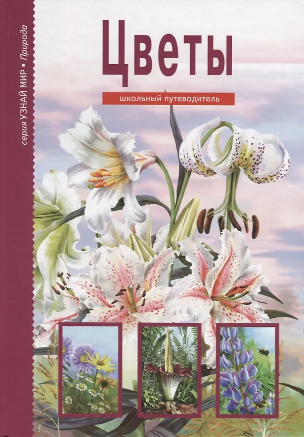 Книга Цветы : Школьный путеводитель () — 1