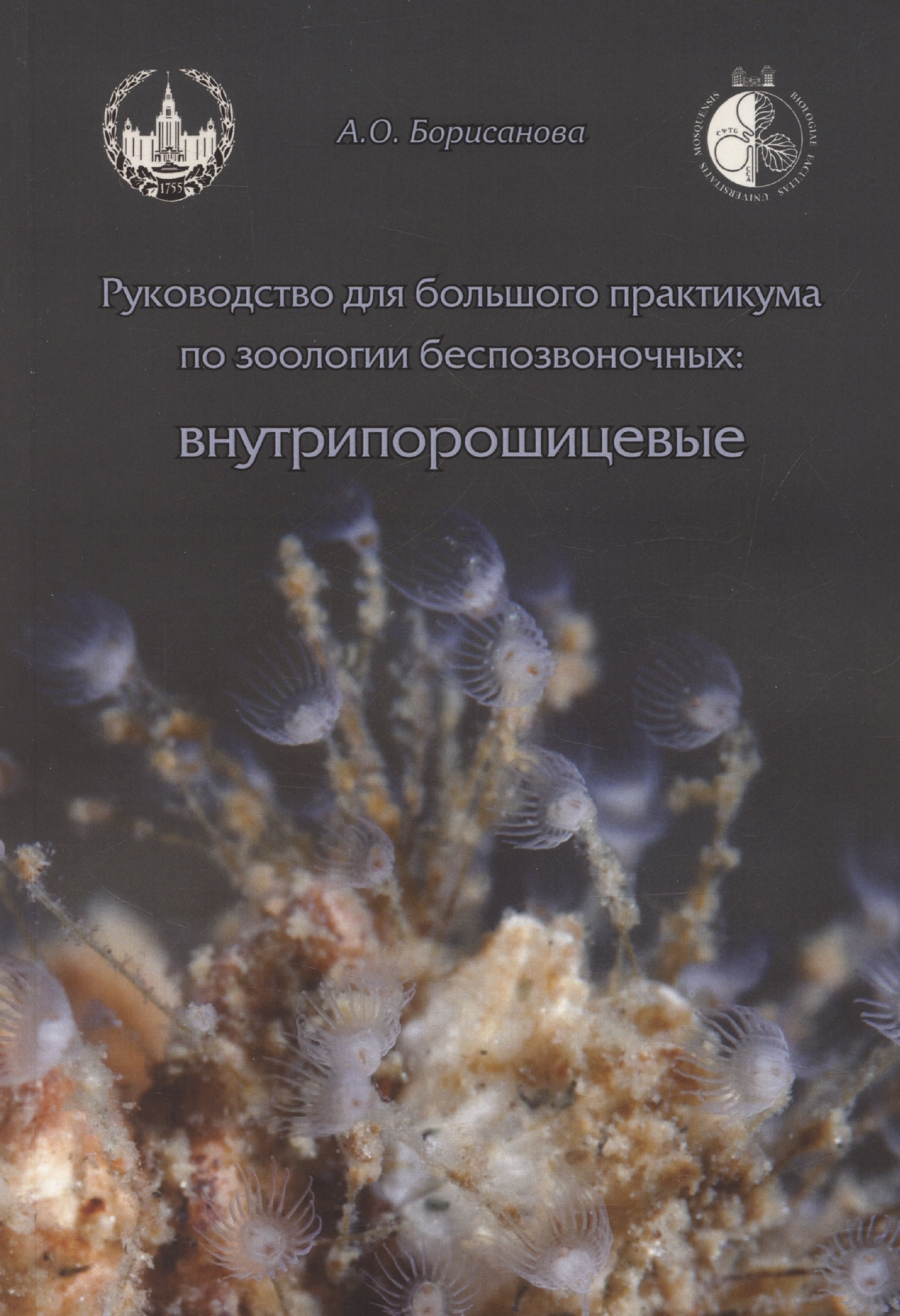 Руководство для большого практикума по зоологии беспозвоночных. Внутрипорошицевые