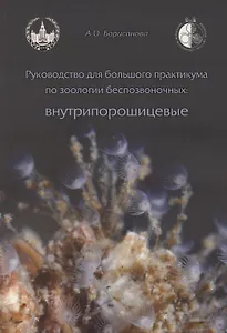 Руководство для большого практикума по зоологии беспозвоночных. Внутрипорошицевые