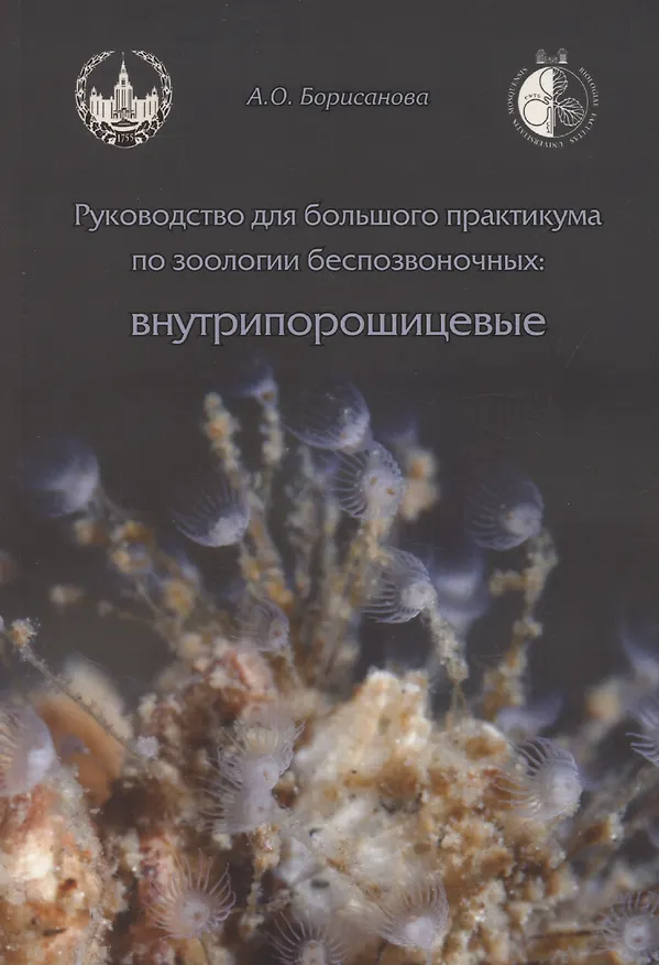 Книга Руководство для большого практикума по зоологии беспозвоночных. Внутрипорошицевые (А.О. Борисанова) — 1