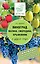 Виноград, малина, смородина, крыжовниик и другие ягоды — 2573100 — 1