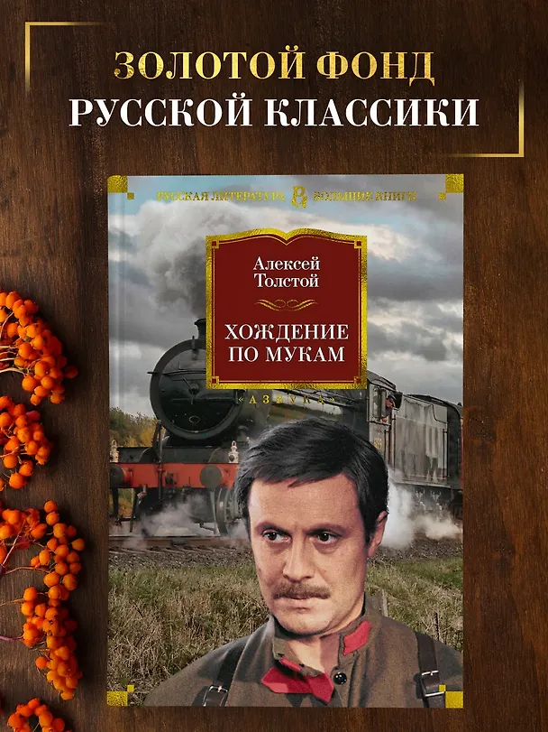 Книга Хождение по мукам (Алексей Толстой) — 4