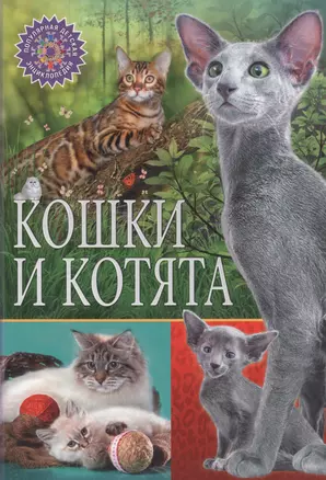 Кошки и котята — 2622832 — 1