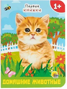 ЦК МИНИ. ДОМАШНИЕ ЖИВОТНЫЕ