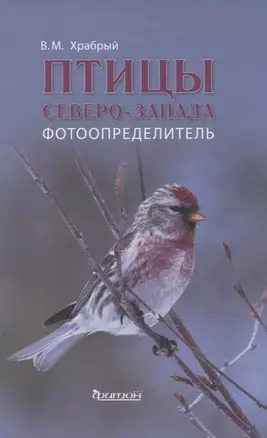 Птицы Северо - Запада. Фотоопределитель — 3068666 — 1