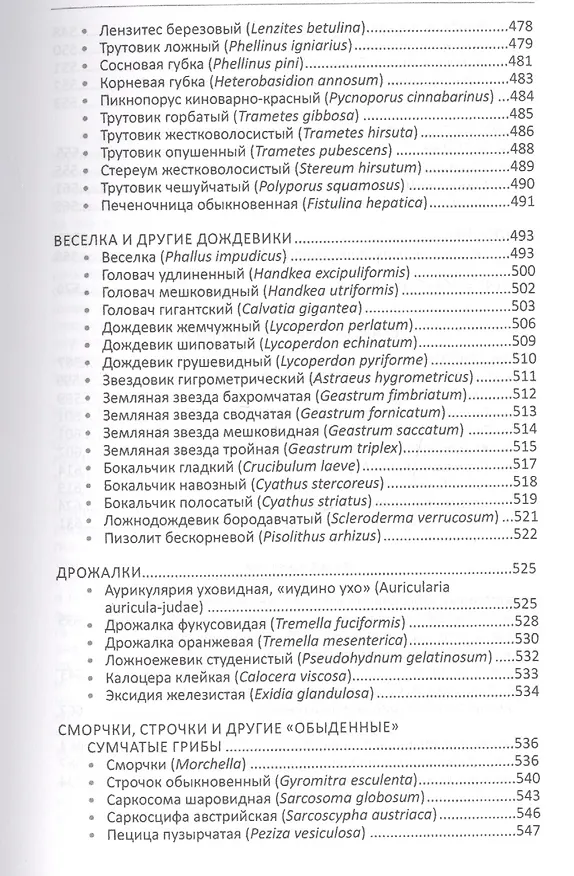 Книга Лекарственные грибы России (Михаил Вишневский) — 6