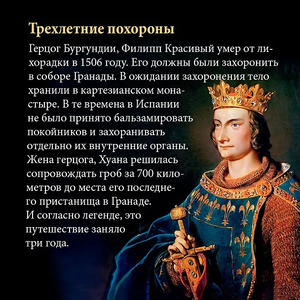 Книга Бурный XVI век: Габсбурги, ведьмы, еретики, кровавые мятежи (Фрэнсис Вейнс) — 5
