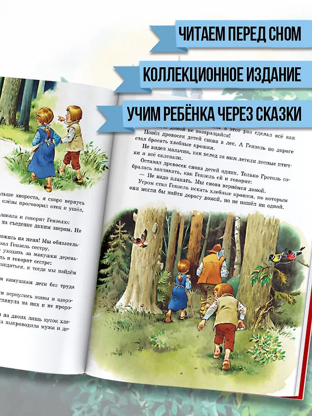 Книга Золотая книга сказок. Илл. Тони Вульфа (Ганс Христиан Андерсен, Шарль Перро) — 7