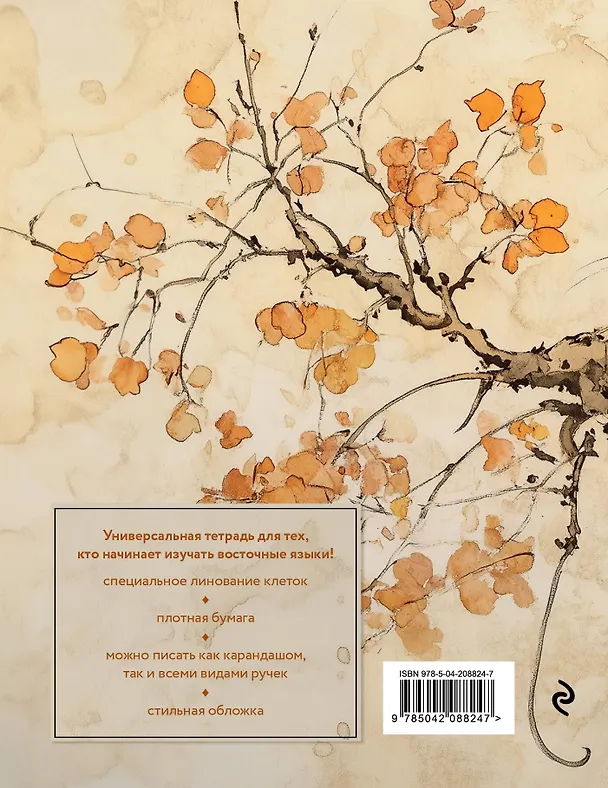Книга Тетрадь для иероглифов (рыжий котик) () — 2