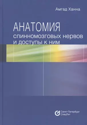 Анатомия спинномозговых нервов и доступы к ним — 2786249 — 1