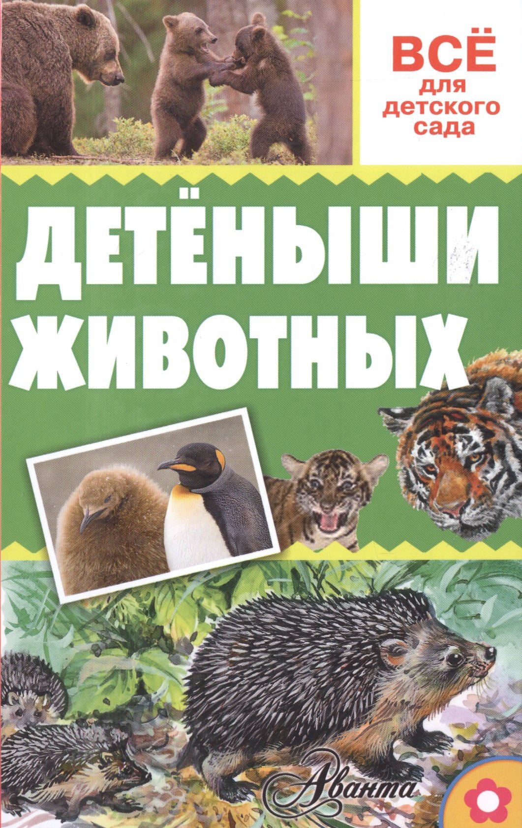 

Детёныши животных