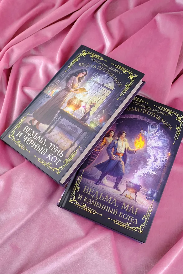 Книга Ведьма, маг и каменный котел (Александра Лисина) — 13