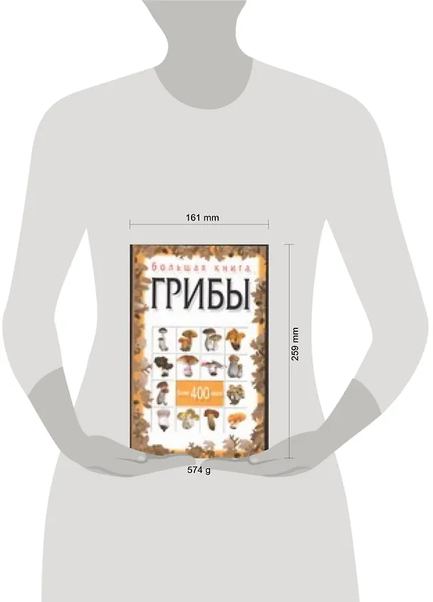 Книга Большая книга. Грибы (Н. Макарова) — 2