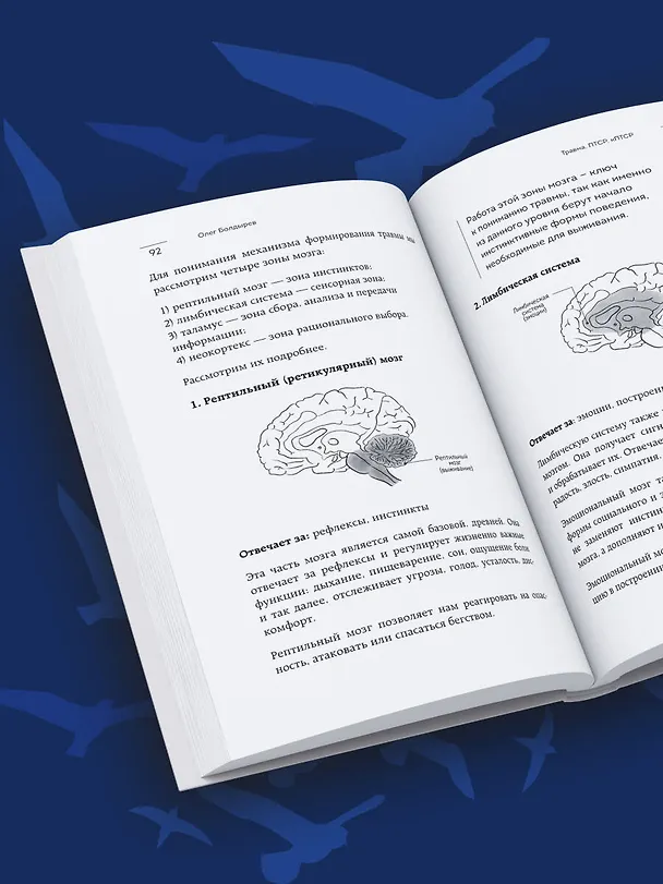 Книга Травма, Птср, кПтср. Практическое руководство для перезагрузки мозга и тела после психологических потрясений (Олег Болдырев) — 12