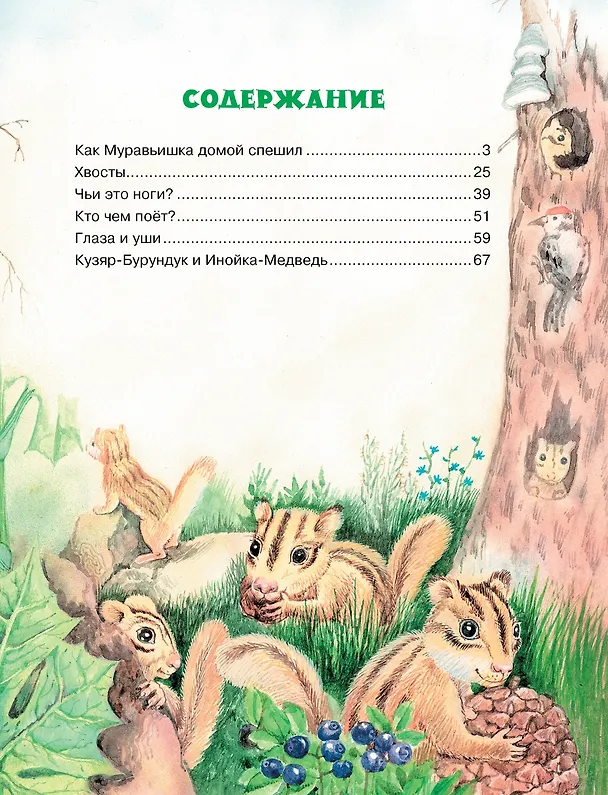 Книга Как муравьишка домой спешил (Виталий Бианки) — 9