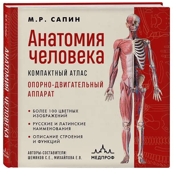 Книга Анатомия человека. Компактный атлас. Опорно-двигательный аппарат (Михаил Сапин) — 5