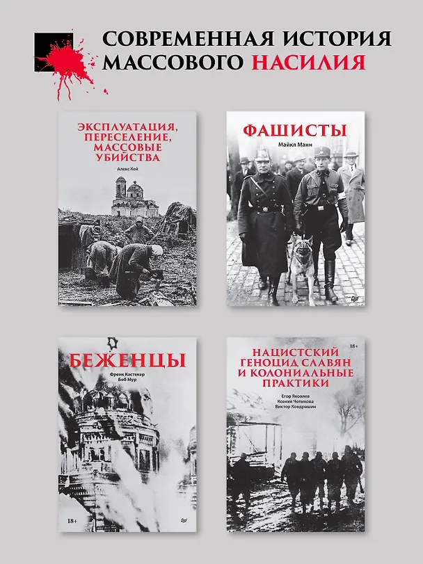 Книга Война и общество (Синиша Малешевич) — 8