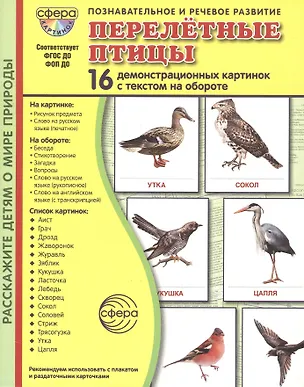 Книга Перелётные птицы: 16 демонстрационных картинок с текстом на обороте ()