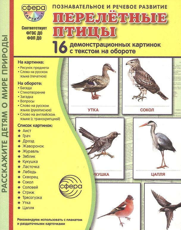 Книга Перелётные птицы: 16 демонстрационных картинок с текстом на обороте () — 1