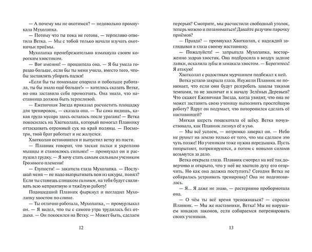 Книга Неистовая буря (Эрин Хантер) — 6