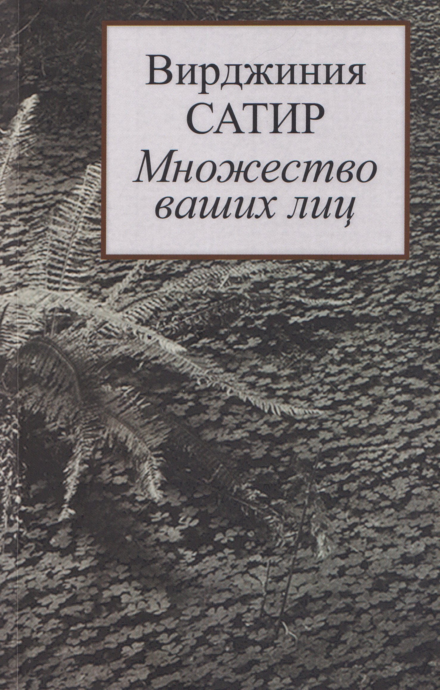Сатир Вирджиния: Множество ваших лиц