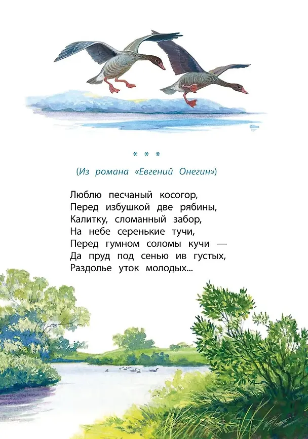 Книга Очей очарованье (Александр Пушкин) — 11