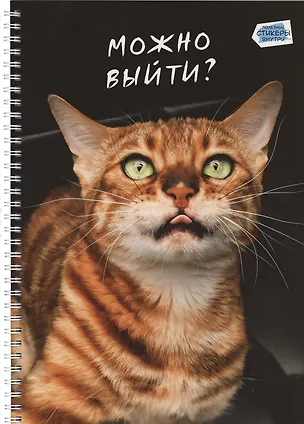 Тетрадь А4 80л кл. "Котики" мел.картон, твин-лак, наклейки, евроспираль 3032935