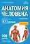 Анатомия человека. 2 издание. Атлас с qr-кодами на цветные изображения — 3053694 — 1