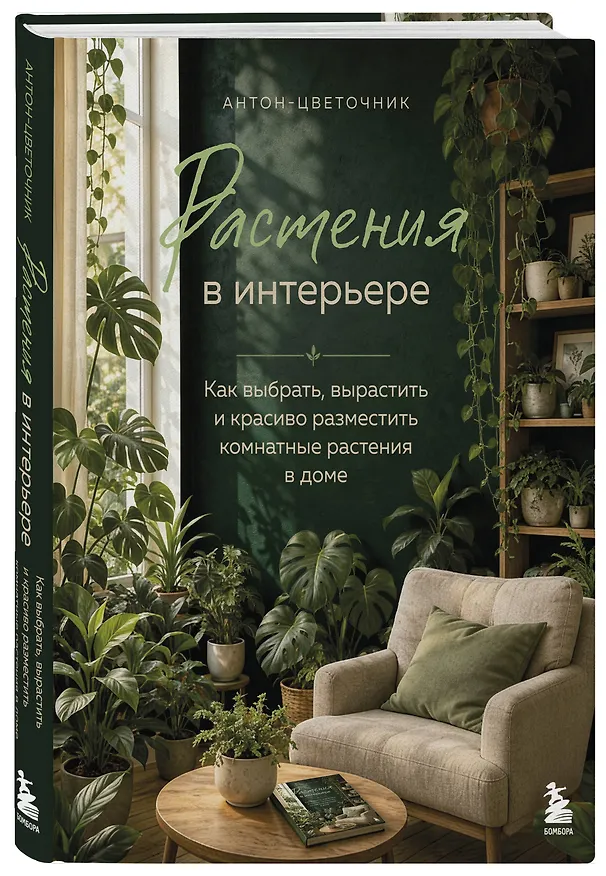 Растения в интерьере. Как выбрать, вырастить и красиво разместить комнатные в доме 3171888 — 4