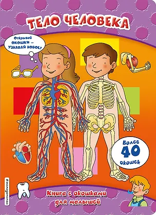 Книга Тело человека (книги с окошками) ()