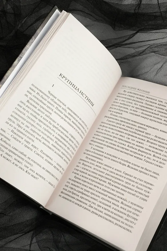 Книга Последнее желание (Анджей Сапковский) — 12