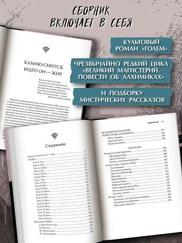 Книга Странный гость: сборник (Густав Майринк) — 4