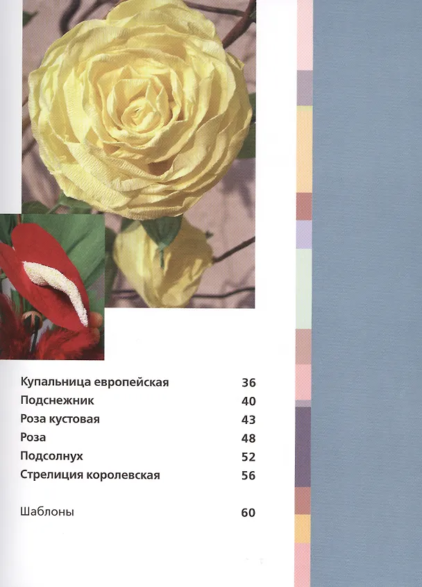 Книга Цветы и букеты из гофрированной бумаги (Агнешка Бойраковска-Пшенёсло) — 3